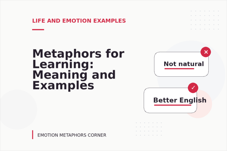 Metaphors for Learning: Meaning and Examples